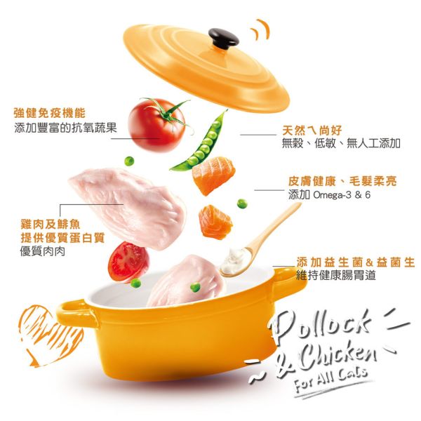 【TOMA-PRO優格】親親系列 5磅-成貓泌尿保健 敏感腸胃  高肉量配方 優格貓飼料

親親貓飼料

TOMA-PRO 貓糧

無穀貓飼料推薦

化毛配方貓飼料

室內貓體重管理

高肉量貓飼料

泌尿保健貓飼料

腸胃配方貓糧

成貓乾糧推薦

全齡貓飼料

低敏無穀貓糧