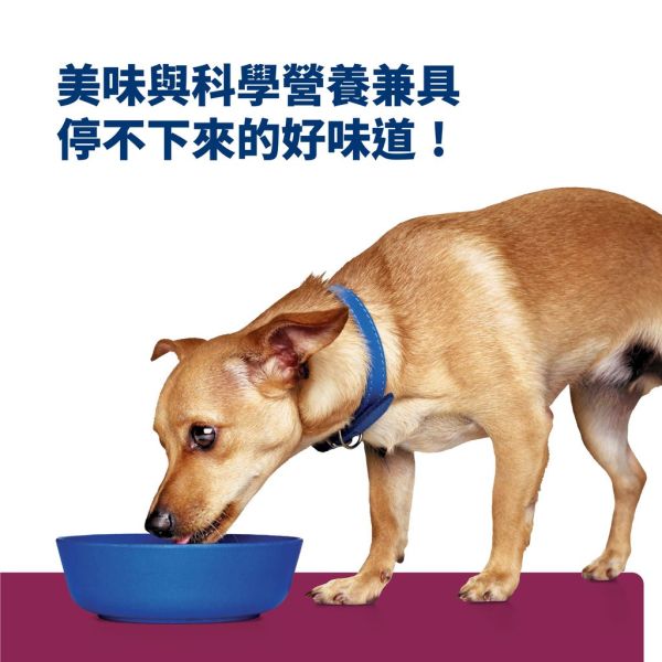 希爾思 犬處方 GI Biome 犬用 GIBiome 原顆粒16磅 小顆粒7磅 小顆粒1.5KG 希爾思 gi biome

GI biome 狗

狗腸胃飼料

狗狗益生菌飼料

犬腸胃處方飼料

消化配方 狗飼料

腸胃敏感 狗飼料

希爾思 腸胃處方

GI biome 犬處方

犬用 digestive care

hill's gastrointestinal biome

gi biome 處方飼料

狗軟便 飼料

狗腸道保健飼