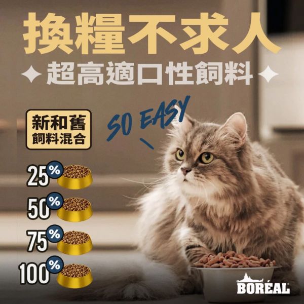 【波瑞歐 BOREAL】 無穀犬糧 5磅｜全齡犬飼料 鴨肉・火雞・羔羊・帝王鮭 /小顆粒 波瑞歐 BOREAL 犬糧

無穀狗飼料

狗狗無穀飼料推薦

全齡犬飼料

狗狗小顆粒飼料

狗狗火雞飼料

狗狗羊肉飼料

狗狗鮭魚飼料

低敏犬糧

加拿大狗飼料品牌
