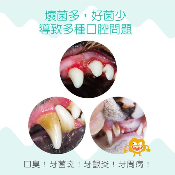 【IN-Plus】 潔牙拌拌 犬貓專用30g｜狗狗潔牙粉・貓咪潔牙拌料・口腔保健好口氣 IN PLUS 潔牙拌拌

狗狗潔牙粉

貓咪潔牙粉

狗狗口臭改善

貓咪口腔保健

犬貓潔牙推薦

狗狗牙齦護理

貓咪牙齒清潔

犬貓口氣清新

寵物口腔保健食品