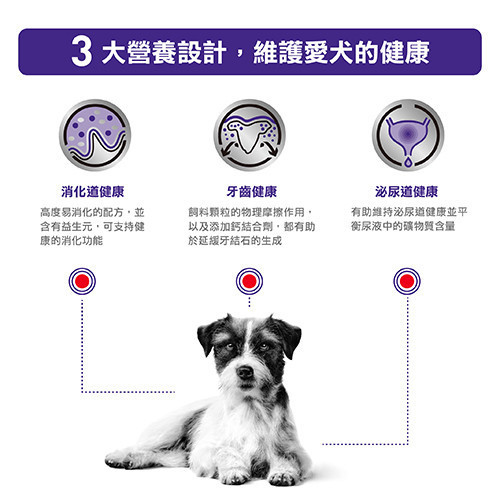 皇家【犬】小型成犬配方乾糧 ASD25小型成犬處方4kg / 2kg 小型犬成犬飼料推薦、狗狗腸胃保健飼料、Royal Canin ASD25、小型犬牙齒護理乾糧、10個月狗飼料推薦、8歲狗狗吃什麼、皇家小型犬配方、獸醫處方狗飼料