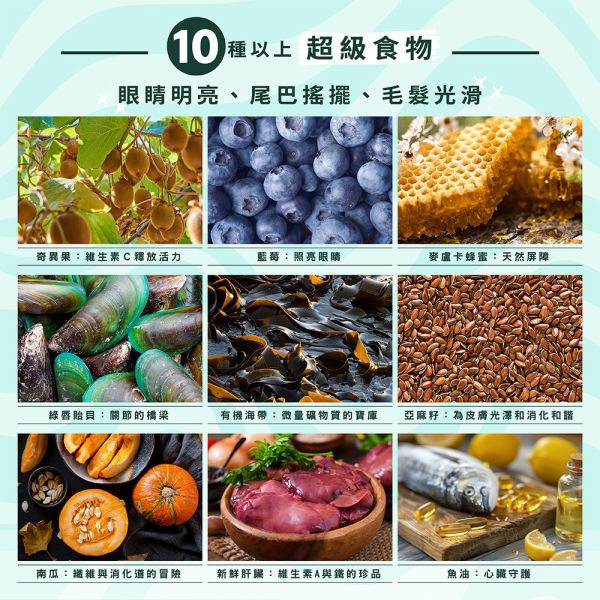 【索美達 Soulmate 】犬凍乾生食餐 20g｜雞肉/草飼牛肉/深海魚｜低溫烘焙｜天然高蛋白 狗糧 零食 主食罐替代 索美達

Soulmate

犬凍乾生食餐

狗狗凍乾零食

狗糧推薦

狗狗主食替代

凍乾雞肉狗糧

草飼牛肉狗糧

深海魚狗糧

高蛋白狗糧

天然無穀狗糧

狗狗健康零食

紐西蘭狗糧