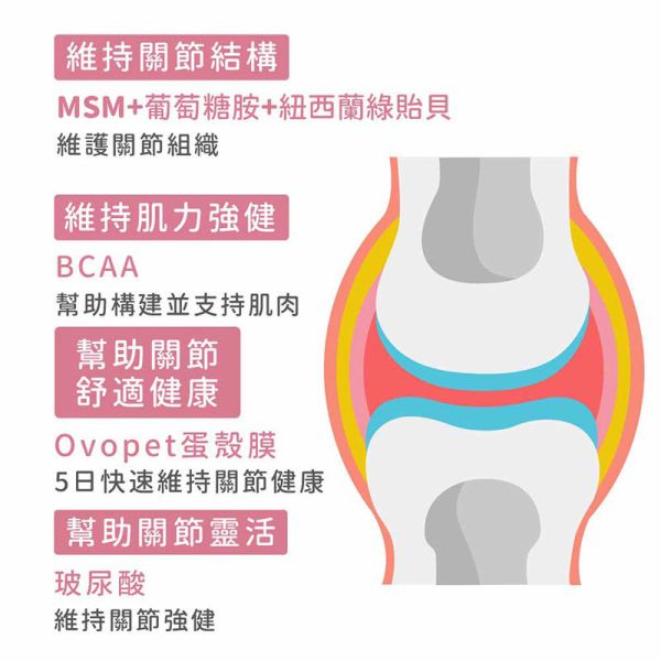 【IN-Plus】MSM蛋殼膜關節保健 狗關節保養 體力舒緩補充劑【30顆/60顆】IN PLUS 犬用營養品 狗狗關節保健, 狗關節舒緩, MSM蛋殼膜, 狗狗關節營養品, 狗狗走路僵硬, 狗狗保健食品, IN PLUS 狗保健, 狗狗骨骼保養, 狗狗關節軟骨保養, 狗狗活動力