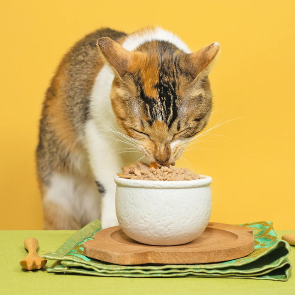 【怪獸部落 Litomon】佛跳牆 澎湃美味四喜罐 80g 黃金鮮鮪/海味三珍/龍鳳呈祥｜犬貓適用副食罐 頂級鮮肉湯罐 狗貓副食罐、怪獸部落無膠罐、黃金鮮鮪罐頭、海味三珍貓罐、龍鳳呈祥副食罐、寵物鮮肉罐、犬貓鮮湯副食、貓咪挑嘴罐頭推薦、狗狗副食補水罐