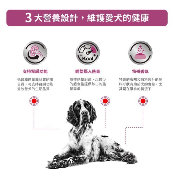皇家【犬】腎臟病適口性配方乾糧  RSF13犬腎臟適口性處方2kg 狗腎臟病食物、Royal Canin RSF13、Renal Special 飼料、慢性腎病狗飼料、狗處方腎臟飼料、適口性腎病飼料