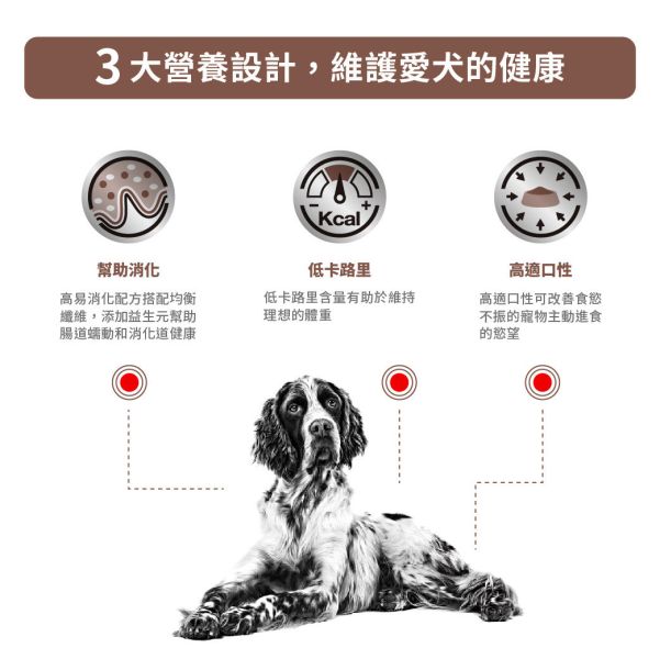 皇家【犬】腸胃道低卡路里配方乾糧  GIM23犬腸胃道低卡路里處方2kg 狗狗腸胃不適吃什麼

狗拉肚子低脂飼料推薦

狗狗體重控制飼料

狗狗下痢專用飼料推薦

Royal Canin 狗狗腸胃飼料

狗狗消化不良飼料

狗狗腸胃敏感飼料推薦

狗狗慢性腸炎飼料

狗狗消化吸收不好吃什麼

狗狗胃腸專用飼料低卡