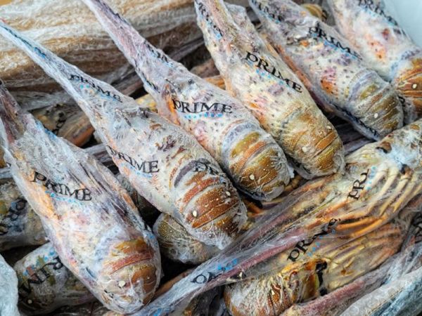 巴西黑盒活凍生龍蝦 每隻450g 以上 (活龍蝦原料使用，鮮度特優。) 