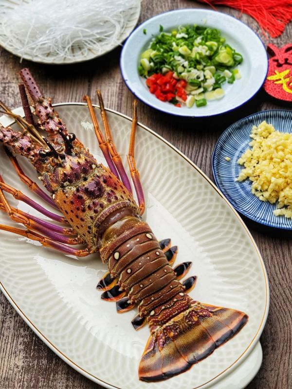 巴西黑盒活凍生龍蝦 每隻450g 以上 (活龍蝦原料使用，鮮度特優。) 