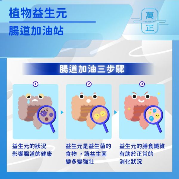 萬正生技 比利時第一品牌 菊苣纖維 體內環保好幫手 7包贈維生素D+K 