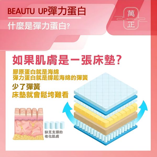 「41折」BEAUTY UP彈力蛋白膠囊  多效合一  食用膠原白宜調要再加上彈力蛋白才真正有效 