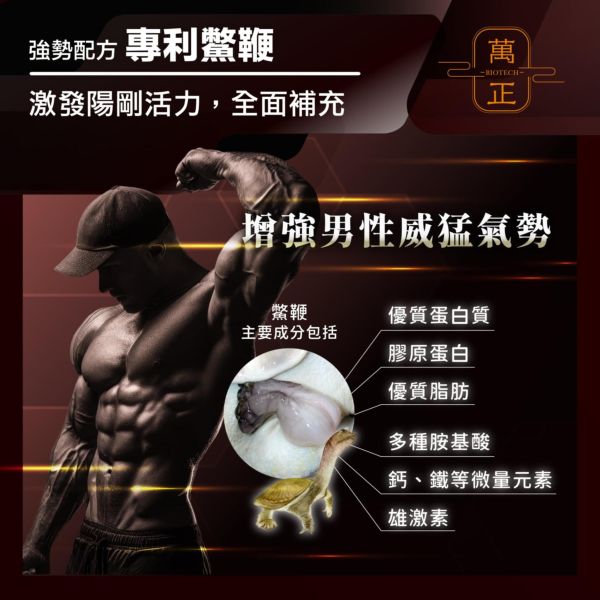 專利鱉精膠囊    甲魚/甲魚血/甲魚鞭/一份劑量高達634mg/cp值超高/全甲魚精華不加其他有的沒的省成本 