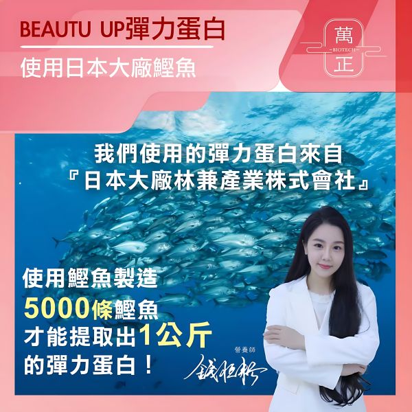 「41折」BEAUTY UP彈力蛋白膠囊  多效合一  食用膠原白宜調要再加上彈力蛋白才真正有效 