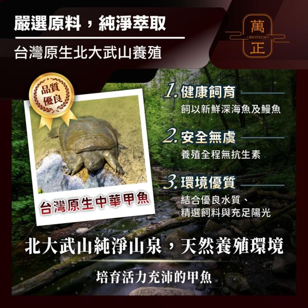 專利鱉精膠囊    甲魚/甲魚血/甲魚鞭/一份劑量高達634mg/cp值超高/全甲魚精華不加其他有的沒的省成本 