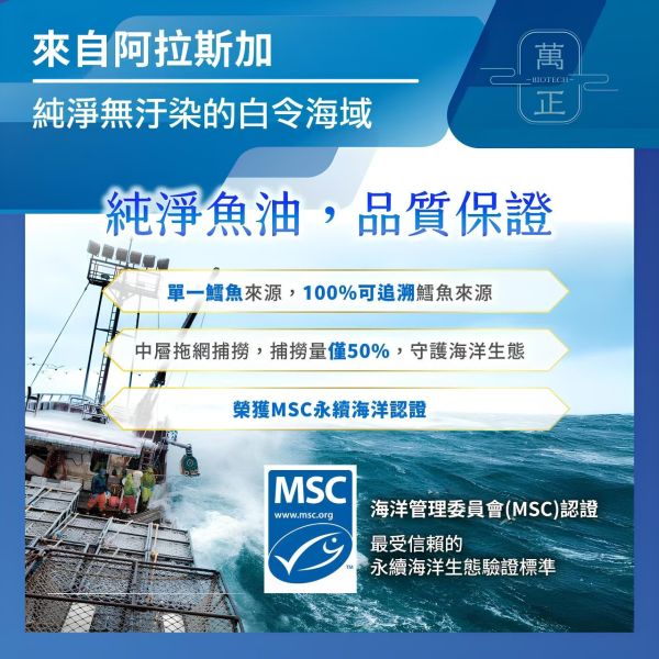 【五星魚油7】67折推廣價！94.01% 阿拉斯加魚油 高濃度魚油 Omega 3 rTG EPA DHA 兒童魚油 深海魚油 