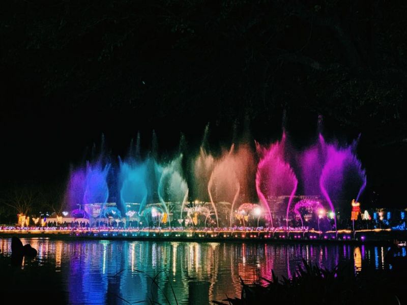 2020花在彰化 花在彰化,水舞,木箔,藝術,畫作,客製化,送禮推薦,田尾花卉