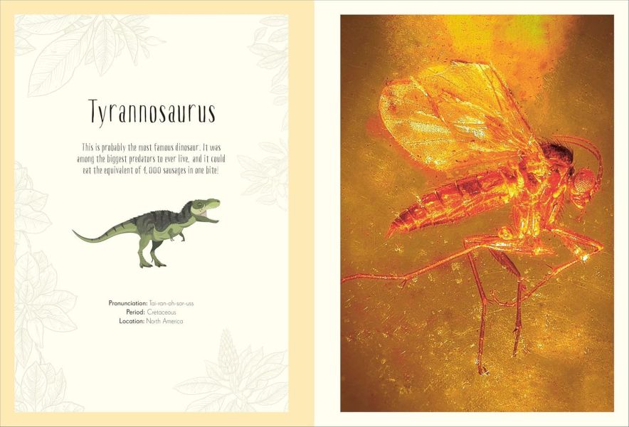 DK Dinosaurs and Other Prehistoric Life Poster Book(恐龍與其他史前生物海報書) 