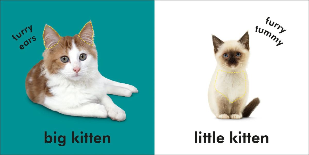 DK Baby Touch and Feel Kittens(寶寶觸摸書：小貓) 