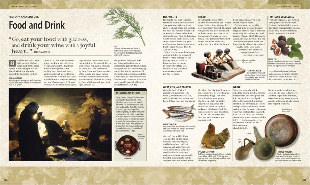 DK The Illustrated Bible Story by Story(插畫版聖經故事全書) 