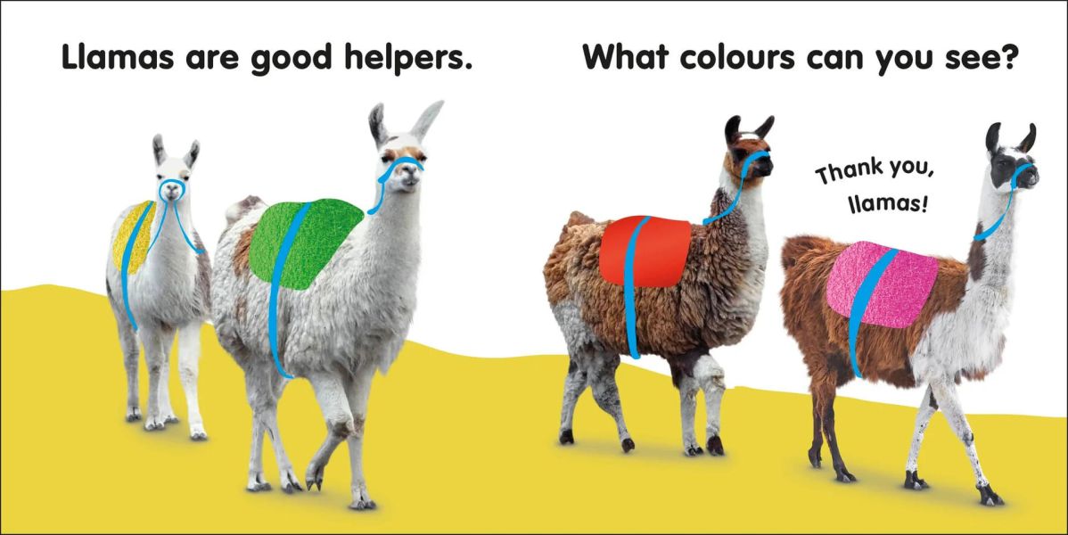 DK Baby Touch and Feel Llama(寶寶觸摸書：羊駝) 