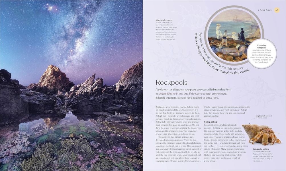 DK The Ocean Book: The Stories, Science, and History of Oceans(海洋：故事、科學&歷史) 