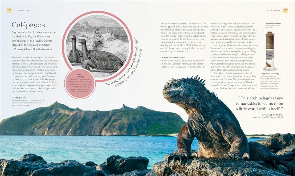 DK The Ocean Book: The Stories, Science, and History of Oceans(海洋：故事、科學&歷史) 