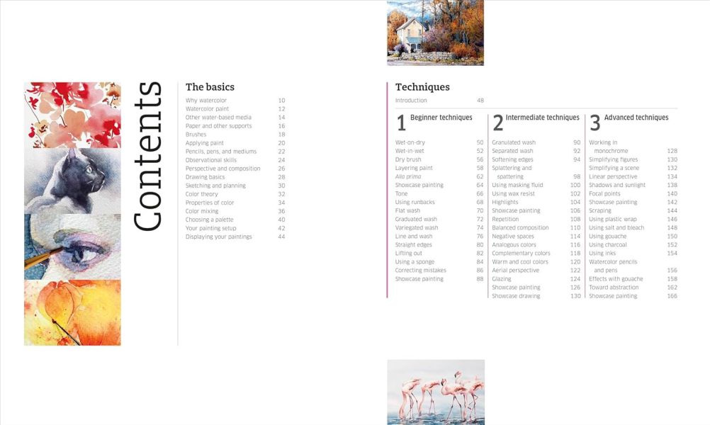 DK Artist's Watercolour Techniques(藝術家的水彩畫技巧) 