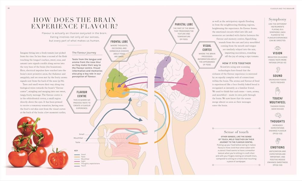 DK The Science of Flavour(食物風味的科學) 