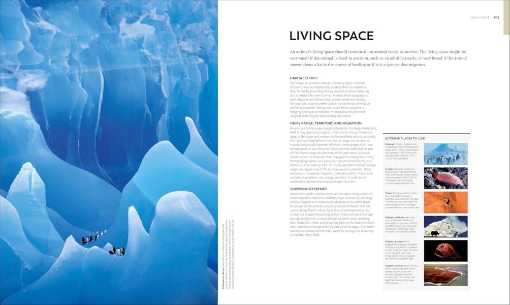 DK Animal Behaviour(動物行為百科) 