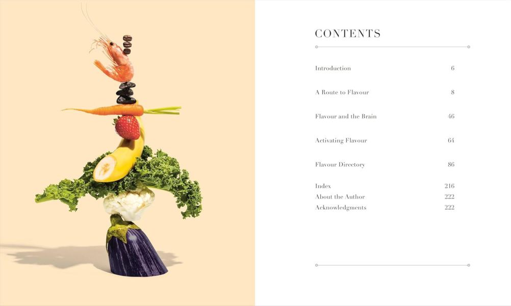 DK The Science of Flavour(食物風味的科學) 