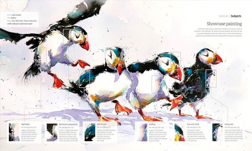 DK Artist's Watercolour Techniques(藝術家的水彩畫技巧) 